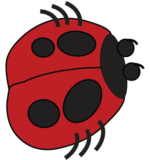 St. Oswald's Ladybirds Ashbourne